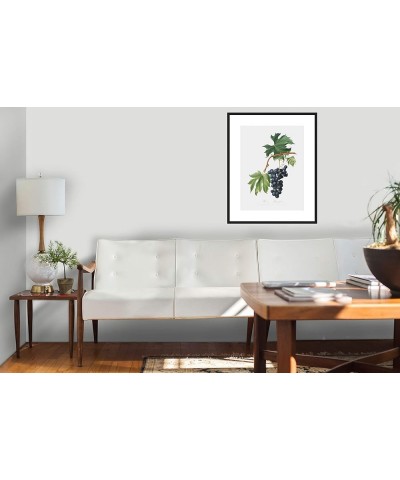 Uva Brachetto - Grape Black frame 18x24 $58.03 Designer