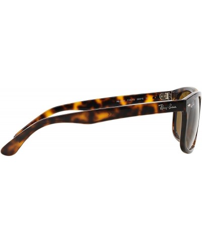 Men's Rb4226 Rectangular Sunglasses Light Havana/Dark Brown $58.55 Wayfarer